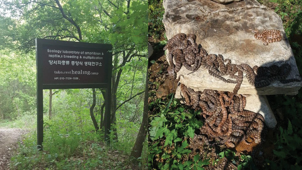 이미지명