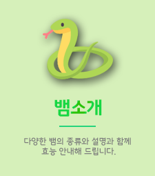 이미지명