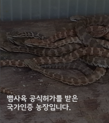 이미지명