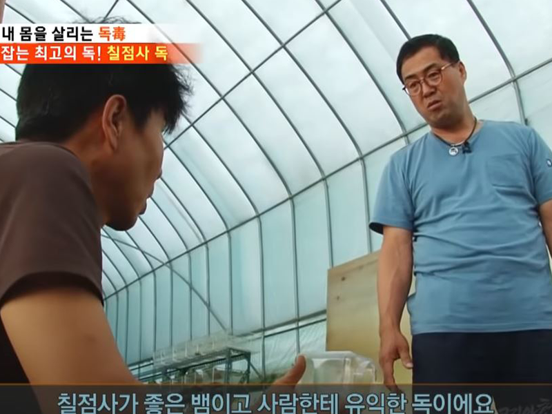 이미지명