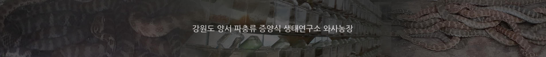 이미지명